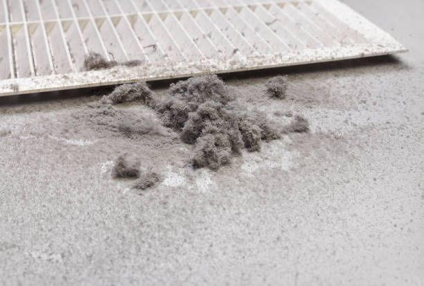 Best Air Duct Cleaning Near Me  in Bel Nor, MO